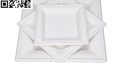6 8 10 inch Disposable Sugarcane Bagasse Square Paper Plates