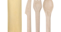Disposable Biodegradable Cutlery Sugar cane Bagasse Chinese Spoon