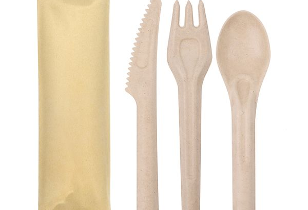 Disposable Biodegradable Cutlery Sugar cane Bagasse Chinese Spoon