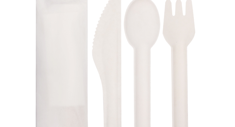 Disposable Biodegradable Cutlery Sugar cane Bagasse Chinese Spoon
