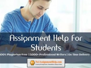 Assignment Help For Students With Unique Quality At No1Assignment