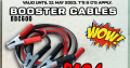 MAY MADNESS SALE! Booster cables 600AMP ONLY R194!