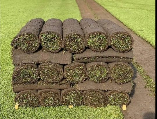 All Season instant lawn