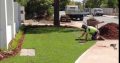 All Season instant lawn
