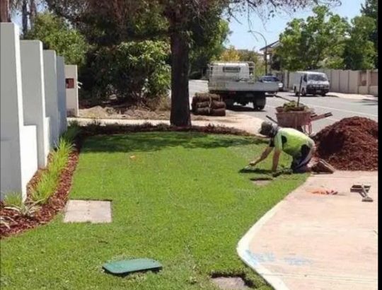All Season instant lawn