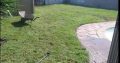 All Season instant lawn