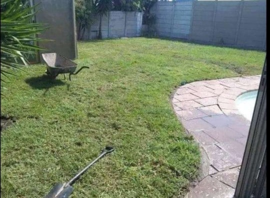 All Season instant lawn