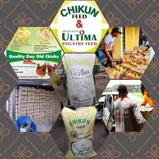 Buy your Olam Chikun and Ultima Feed in Nigeria