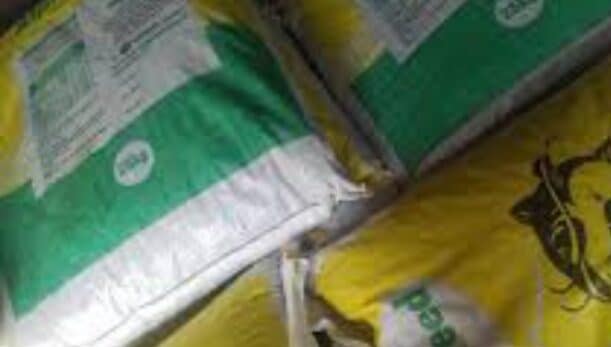 Buy your Olam Fish Feed