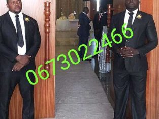 Bouncers, Bodyguards and security guards