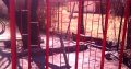 zink and window frame with burgaler bars