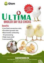Buy Chikun and Ultima Feed from Olam