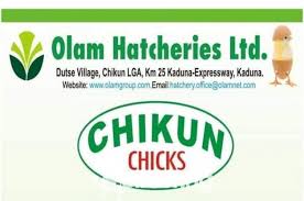 Buy Chikun and Ultima Feed from Olam