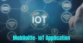 Mobiloitte South Africa: Your IoT Innovation Partner