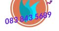 BENONI PLUMBERS AND ELECTRICIANS DRAIN UNBLOCKING GEYSER REPAIRS