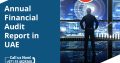 Annual Financial Audit Report in UAE