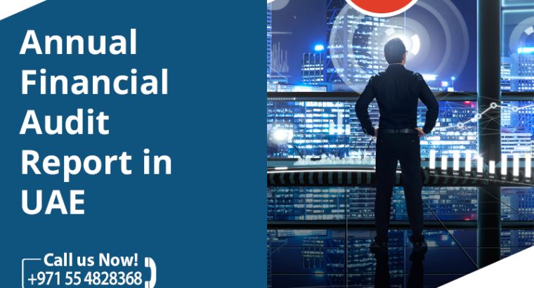 Annual Financial Audit Report in UAE