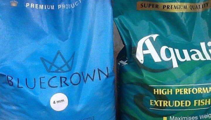 Get your Bluecrown and Fish Feed from Olam
