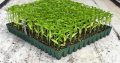 Grow Slab in South Africa