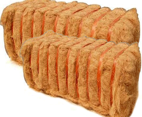Coconut Coir Pith in South Africa