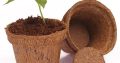 Coco Pot in South Africa