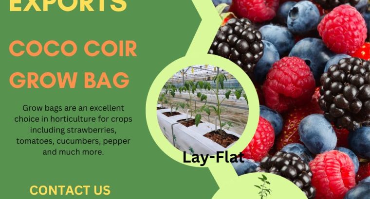 Coco Coir Pots in South Africa