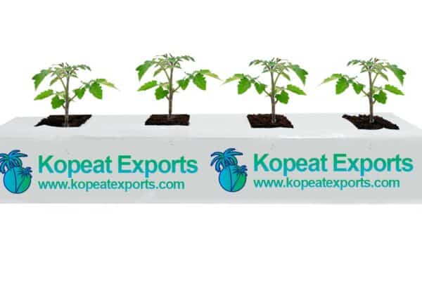 Long Type Grow Bag in South Africa
