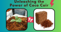 Coir Dust in South Africa