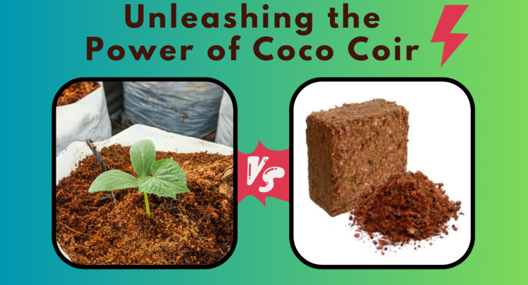 Coir Dust in South Africa
