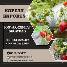 Long Type Grow Bag in South Africa