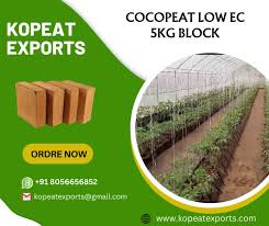 Coir Dust in South Africa