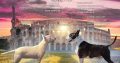 Bull Terrier puppies for sale