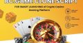 Ultimate Experience of BC.Game Clone Script Will Level Up Your Ga
