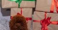 Teacup red poodle available for breeding