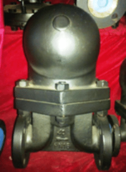 Ball Float Steam Trap supplier in Egypt