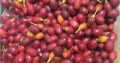 buy Coca seeds and Coca powder online