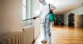 Pest Control in Bramley – Eco-Pest Control