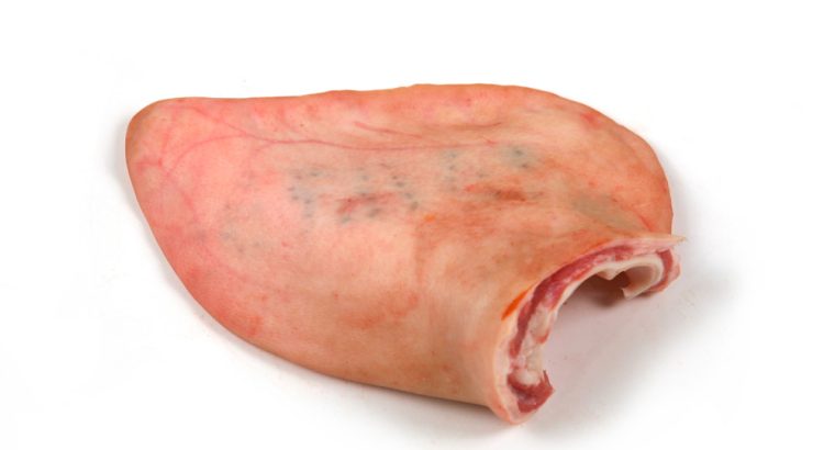 Buy Pork Online – Belly Pork { https://maporal.com.pt/products/ }