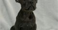 French Bulldog puppies