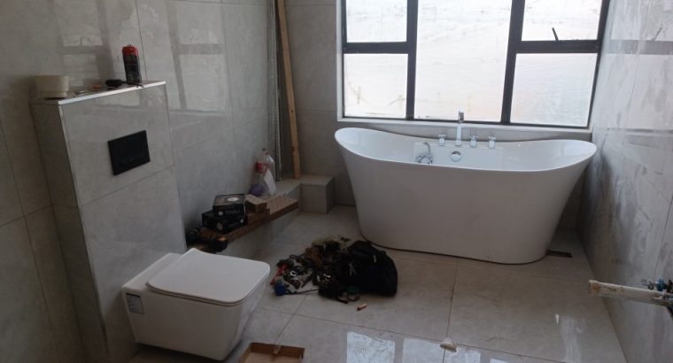 Professional plumbing
