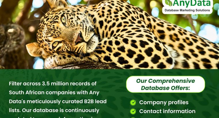 B2B and B2C Marketing Services in South Africa with Any Data