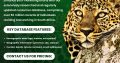 B2B and B2C Marketing Services in South Africa with Any Data