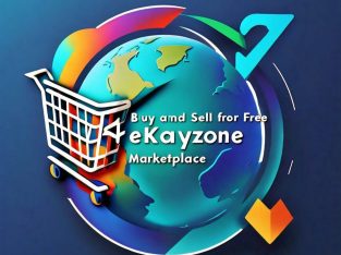 Online Business Networking in Alberton with eKayzone