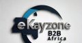 Unlock the Power of Online Business Networking in South Africa