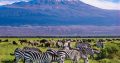 Kilimanjaro Trekking Guides