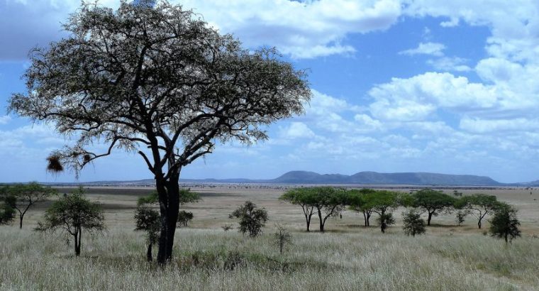 Mountain Safaris in Tanzania