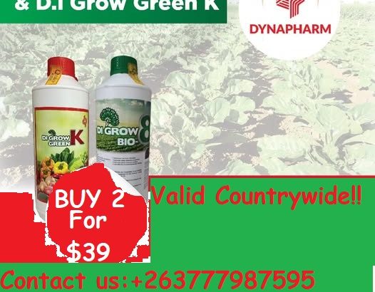 EASTER SPECIAL CLEARANCE SALE
