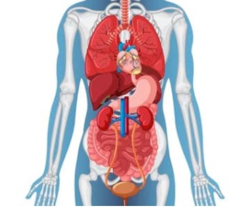 Why Internal Medicine Is the Backbone of Modern Healthcare