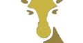 Kruger park luxury lodges