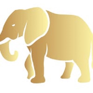 Luxury safari packages